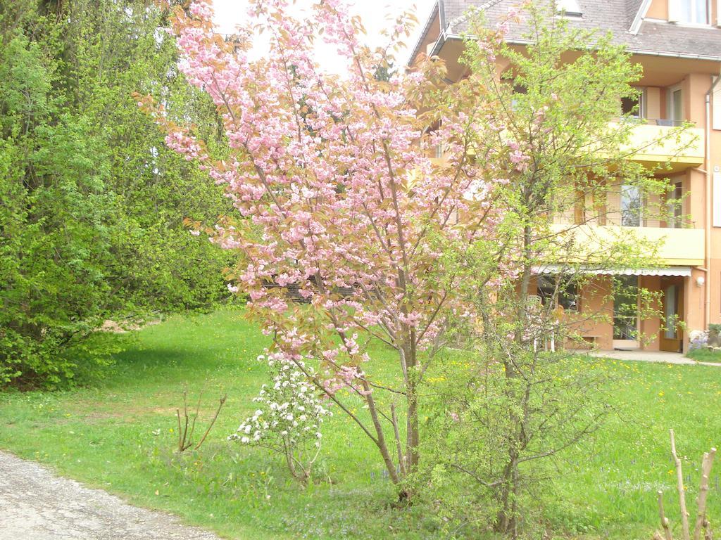 Pensiunea Orhideea Gura Humorului Extérieur photo